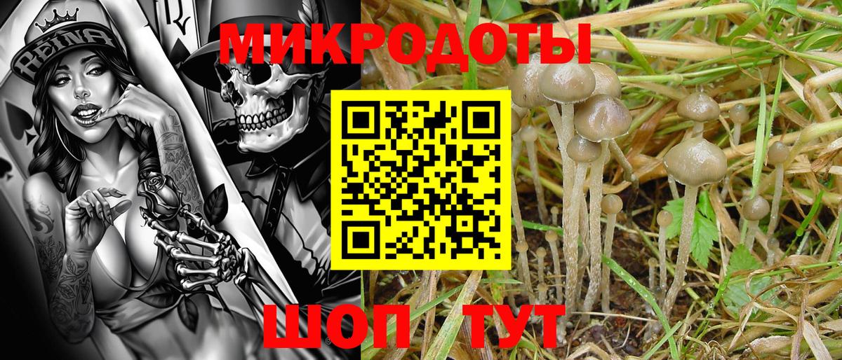 Псилоцибиновые грибы мухоморы Курчалой