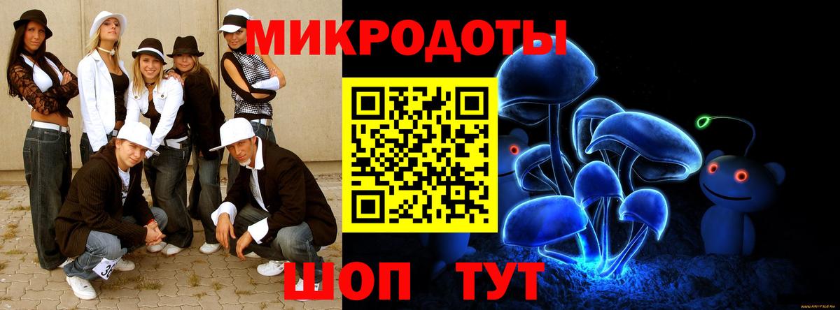 Курчалой  Галлюциногенные грибы Cubensis  Вход с VPN 
